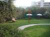 Jasmine Hotel Apts 